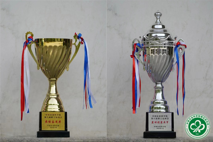 奖杯xiu.jpg