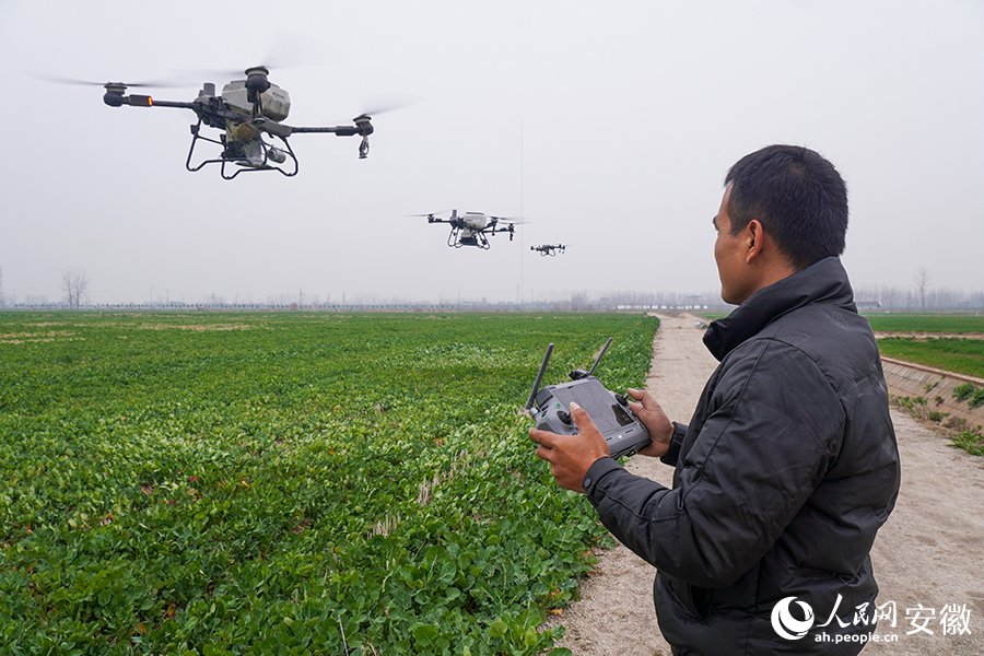 4.程学泽操控无人机为油菜施肥。人民网记者 陈若天摄.jpg