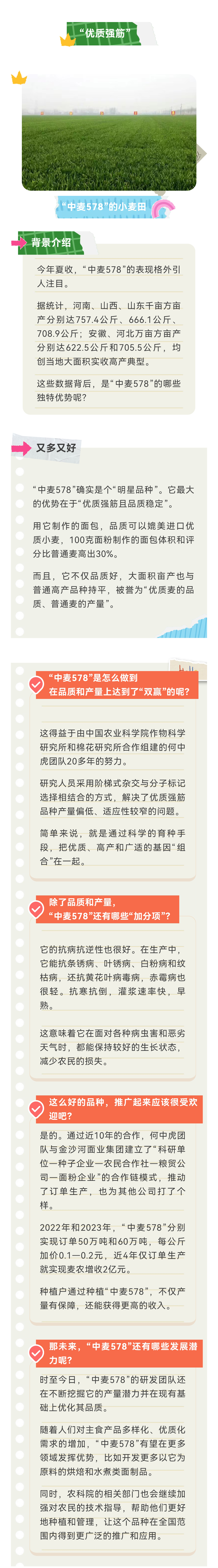 [农科专家在线]“中麦578”：从田间到舌尖的“优质强筋”之旅.jpg