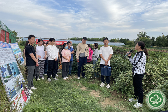 4 马艳讲解-小.jpg