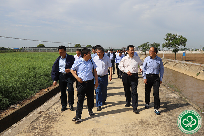 4调研望江基地试验田xiu.png