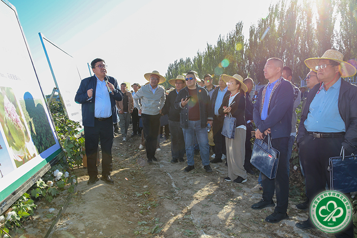 马雄风研究员介绍棉花品种中棉所158情况xiu.jpg